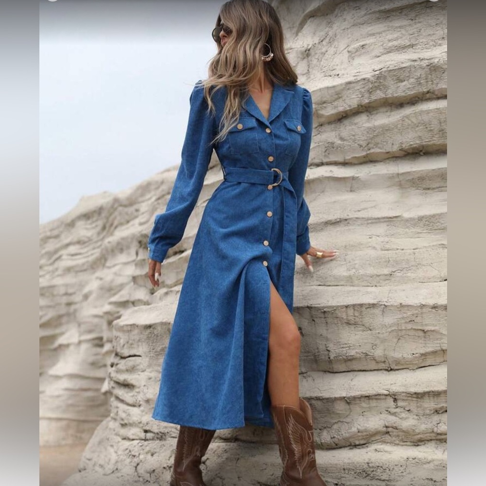 Elegant Blue Belted Button Down Corduroy Dress - Picture 2 of 8